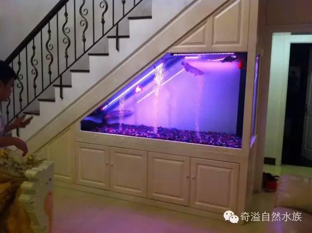 鱼缸的摆放位置与风水的关系-下图哪个位置是放鱼缸的最佳位置