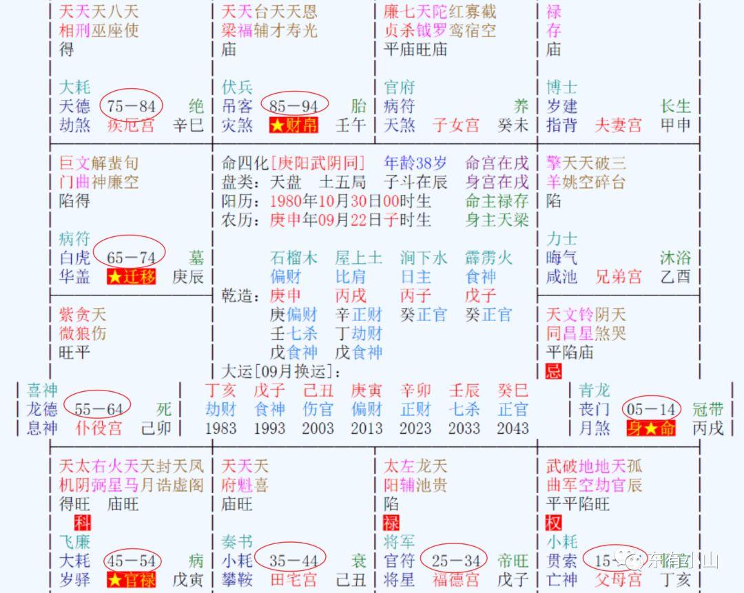 原生盘 紫薇斗数-紫微斗数详细解释