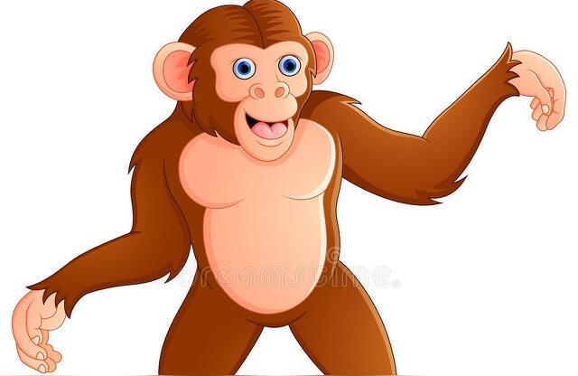 千篇一律打一个生肖千篇一律比喻完全按老一套没有任何变化的词语