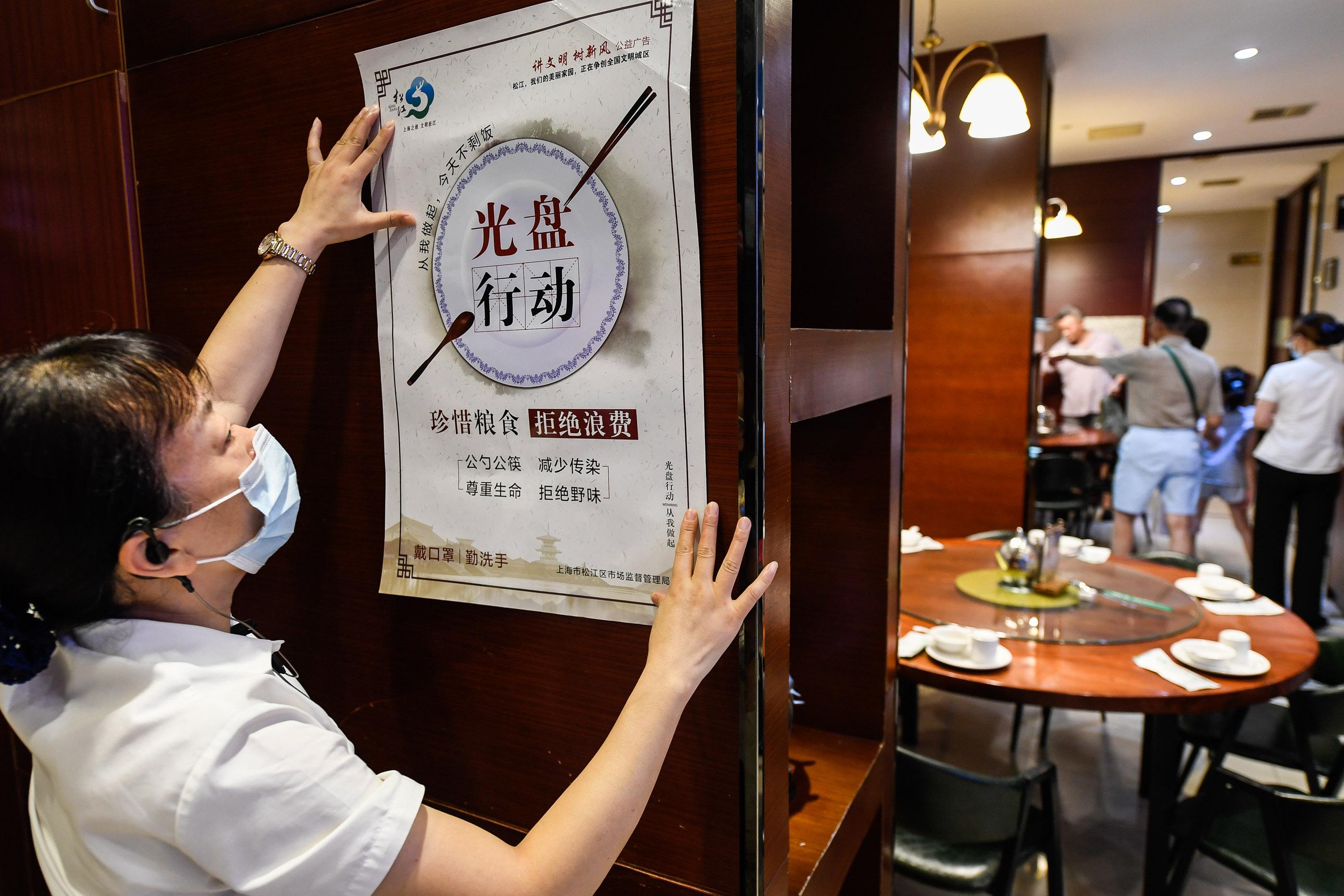 收银台放转运竹招财-饭店开张门口放什么盆栽最好