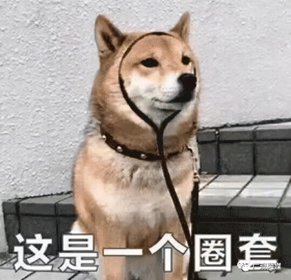 陶白白下周 星座运势-陶白白是干嘛的