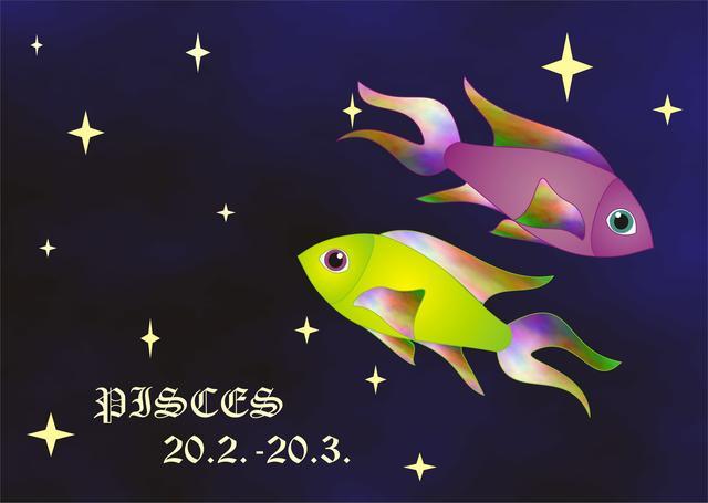 十二星座本周运势 射手-下半年注定和前任复合的星座