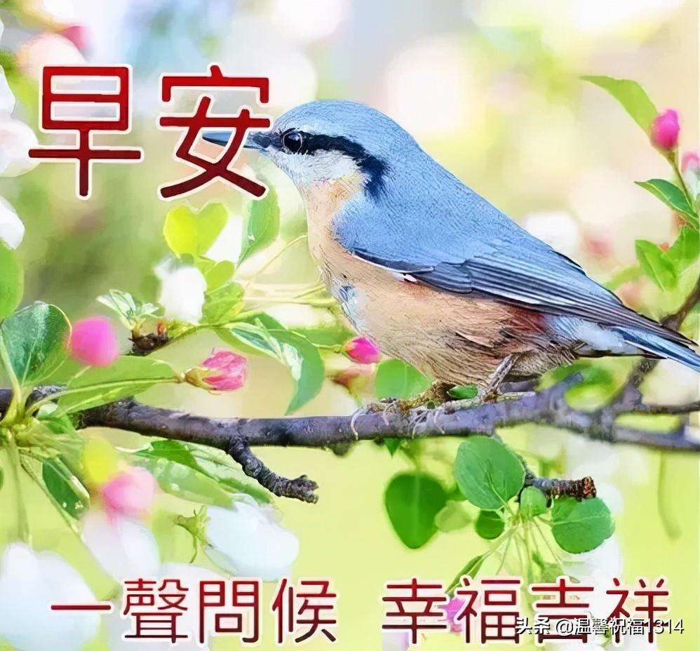 财运方位 2022年12月24日财神最佳方向-2021年12月12号代表什么
