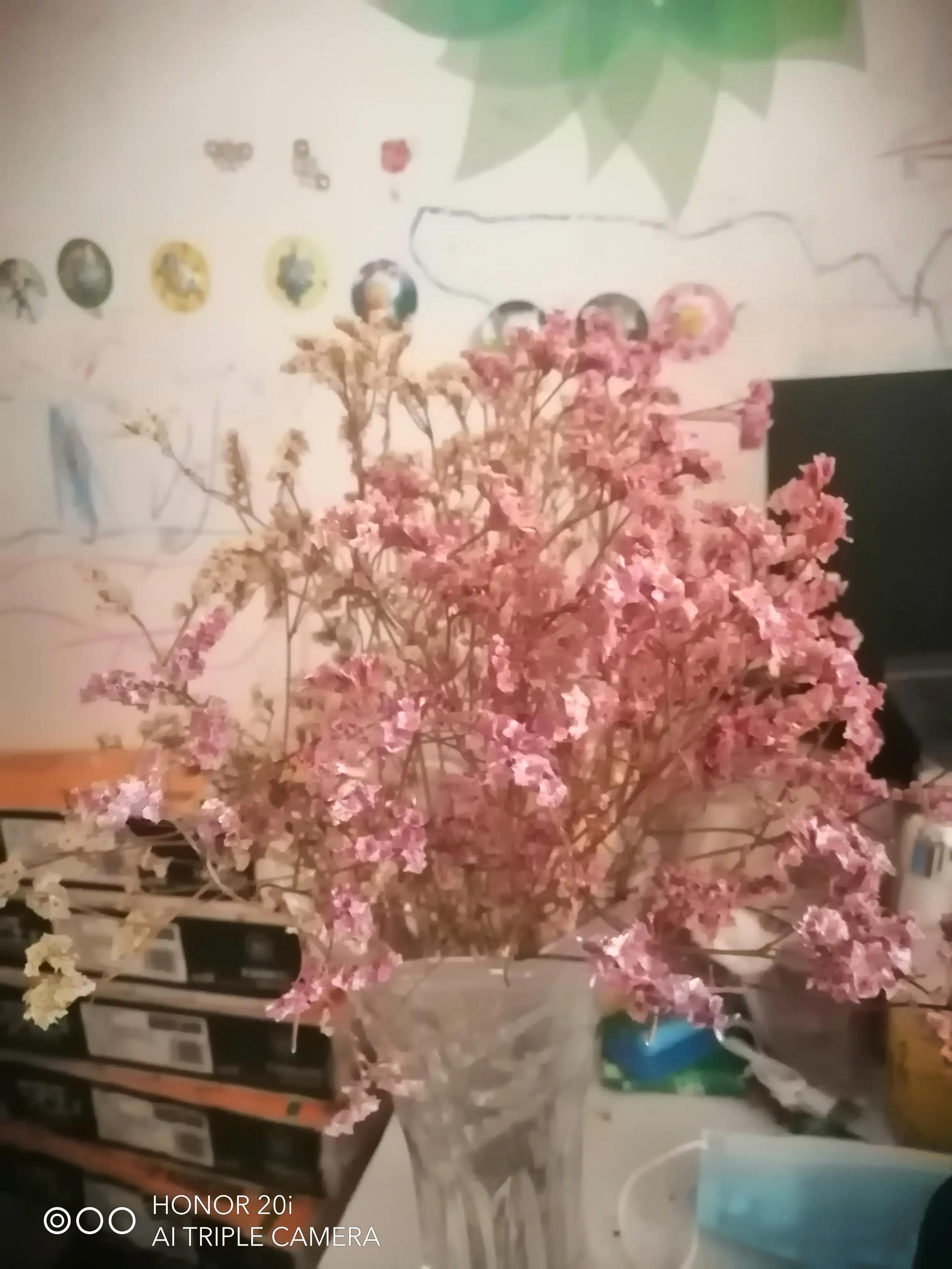 家中摆什么干花招财 干花在气运上的禁忌-春节什么样的花卉更受欢迎