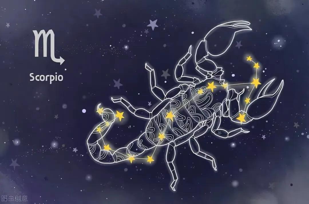 12星座的运势2022-生肖兔和谁关系最好