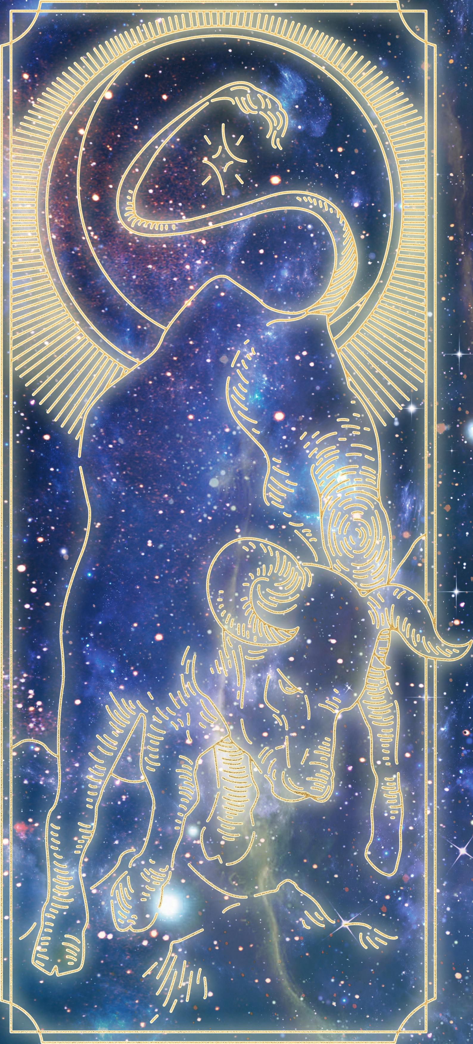 12星座每日运势解析网-娱乐圈哪些女星的美腿你认为最好看