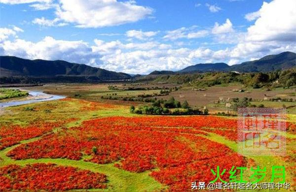 午破酉婚姻-午酉之间是什么关系