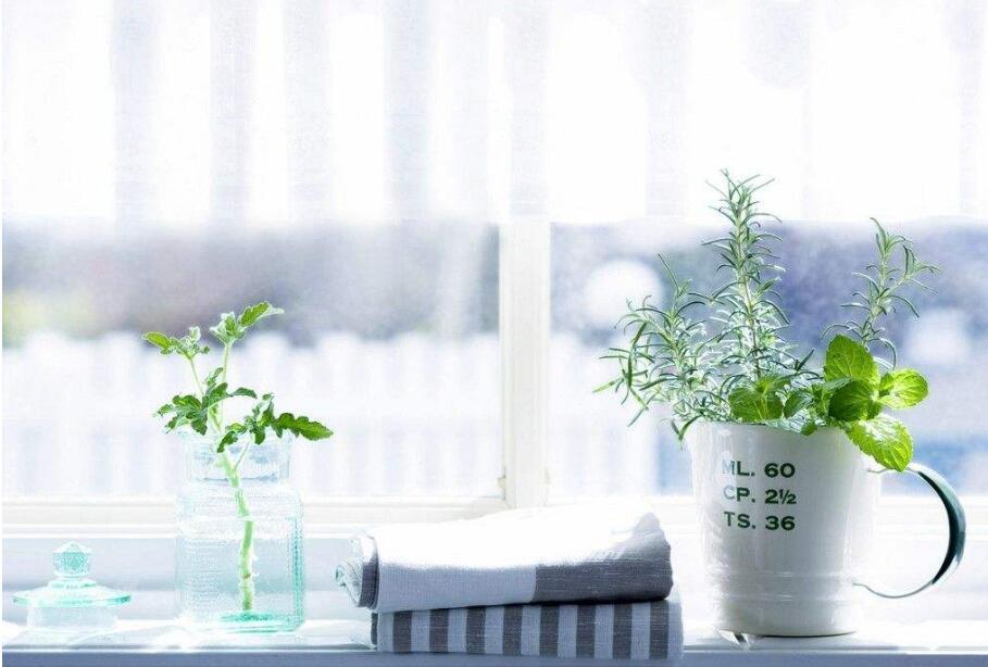 可以招财的家居风水 这三招让财运滚滚来-宾馆摆设什么盆栽是招财的