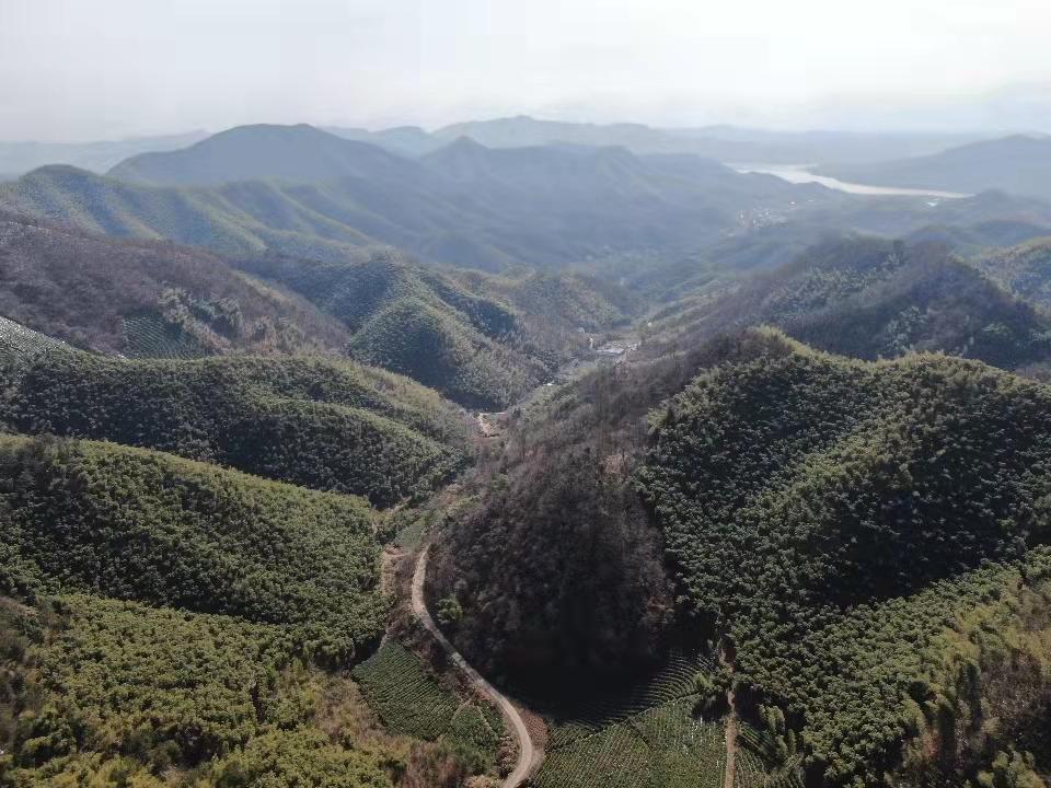 庚申经全文-山西为什么叫三晋