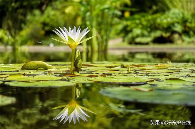 阴气太重的房屋是怎样的-房子住不着会怎样