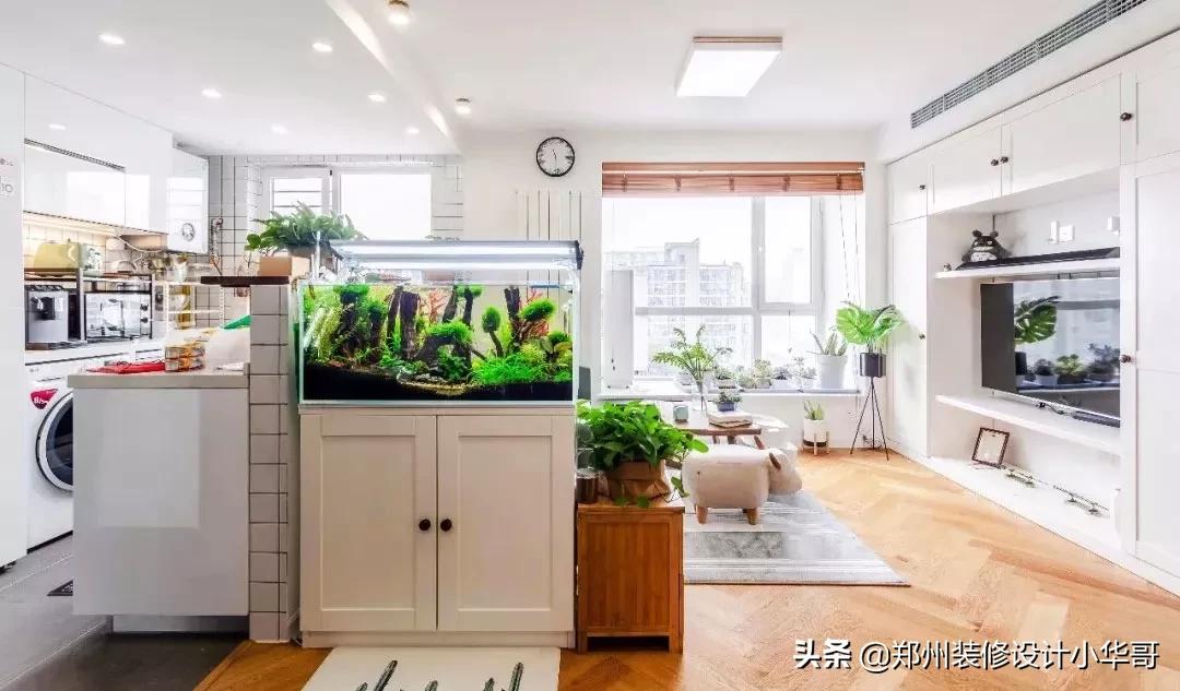 为什么不能开门见鱼缸 有哪些禁忌不能犯-空鱼缸可以放到进门门口吗
