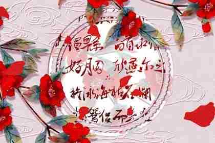丁火女真爱-爱情中对方的一句我很忙