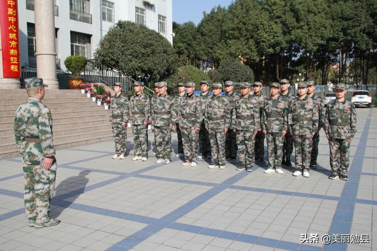 2022年姓伍的女虎宝宝怎样取名字 100分起名大全-哥你好片尾曲粤语版叫什么