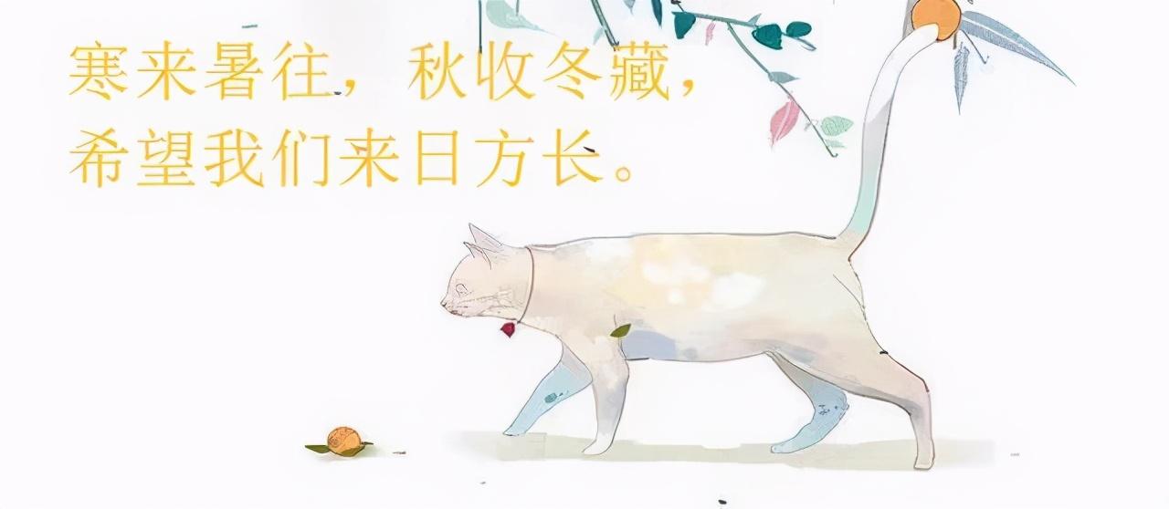 古穿今算命文女主-如何评价鬼怪这部韩剧