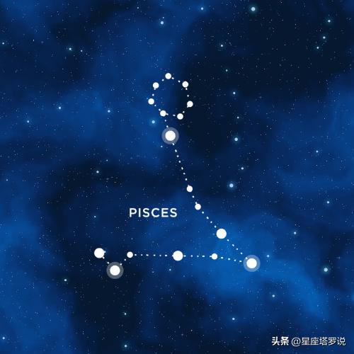 怎么查金星星座运势-王一博被迫离开天天向上