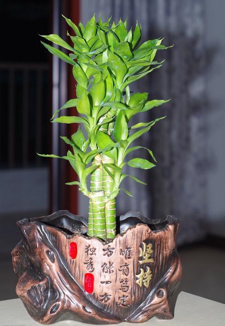 人没财运跟房子风水有关吗 这样做让你财运暴增-一个人运气为什么会差到一点业绩也没有