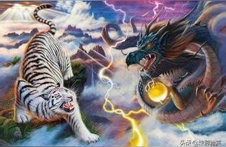 紫薇斗数白虎详解八卦里的白虎是指什