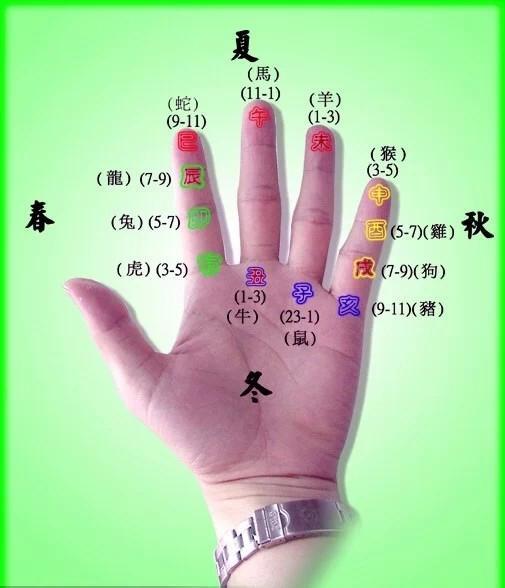 卯辰相害夫妻宫是什么意思-农村老人说的金猪年是什么意思
