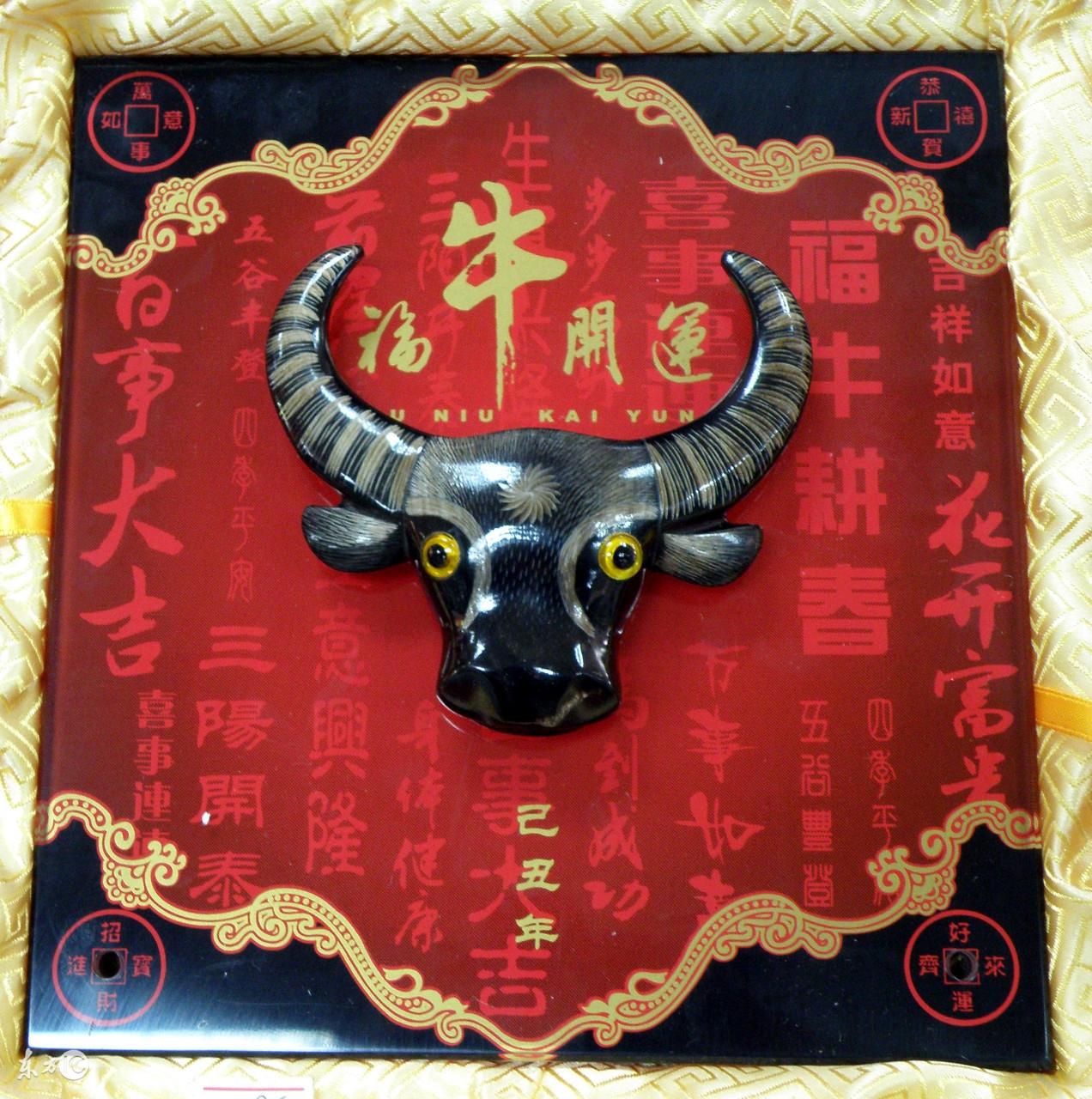 算命的聚财-为什么有些人并不聪明