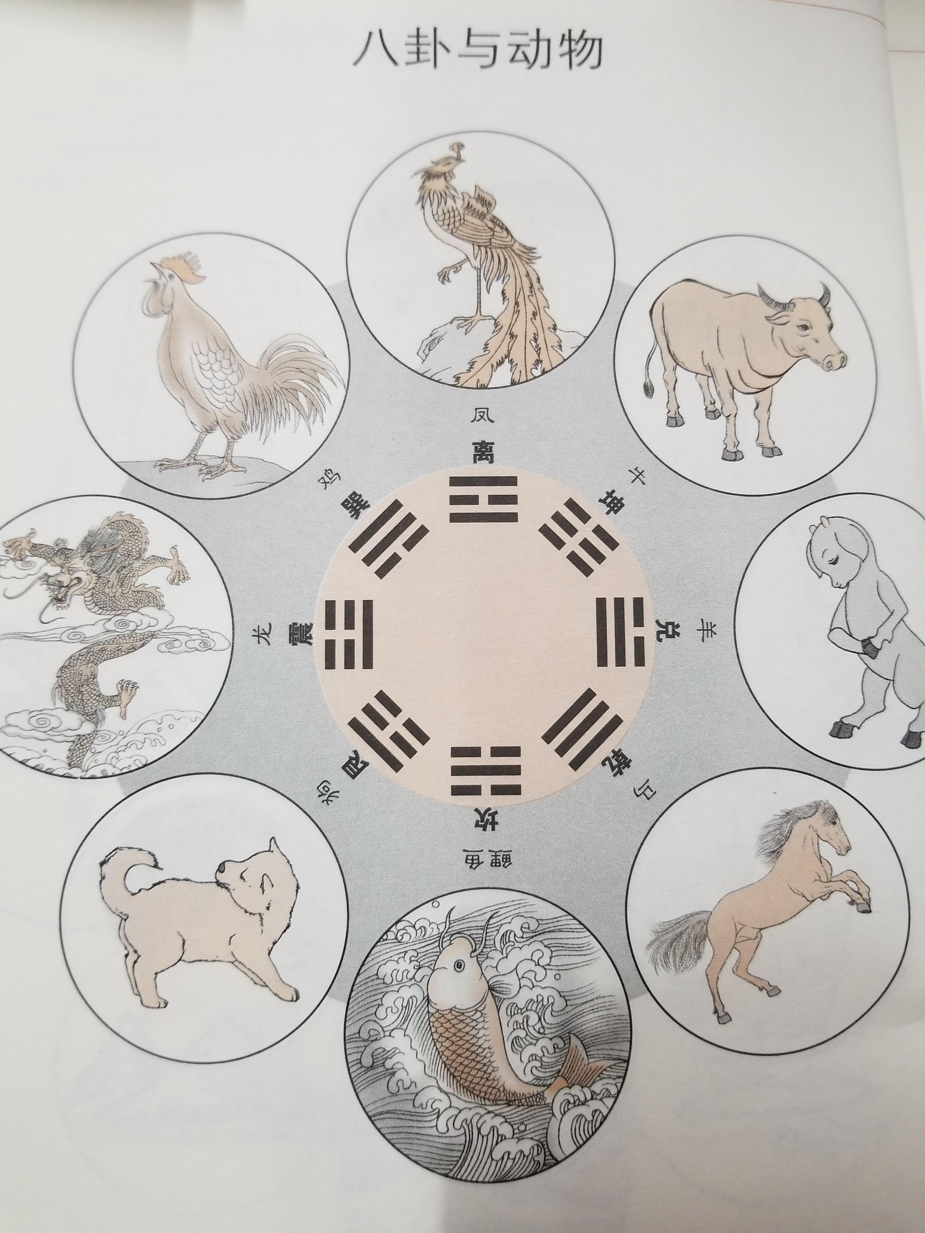 坎卦兑卦-为什么我们泛指一件物品叫