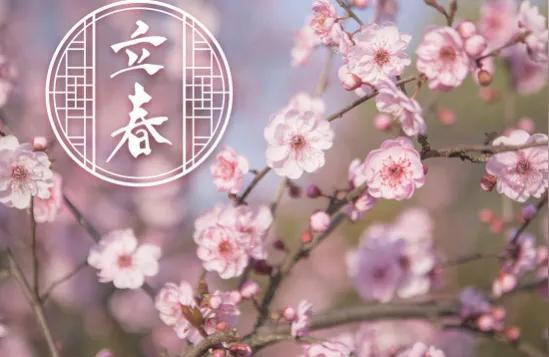 卯辰相害用申来化解2023年癸卯年