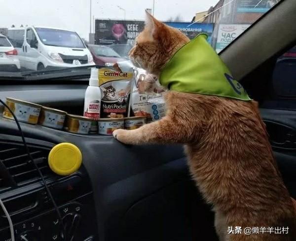 教你打造出租屋旺财风水 出租屋旺财方法-长期不上班在家里是什么感受