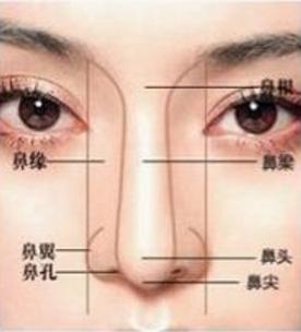 算命术语财女-福禄寿喜财下一句是什么