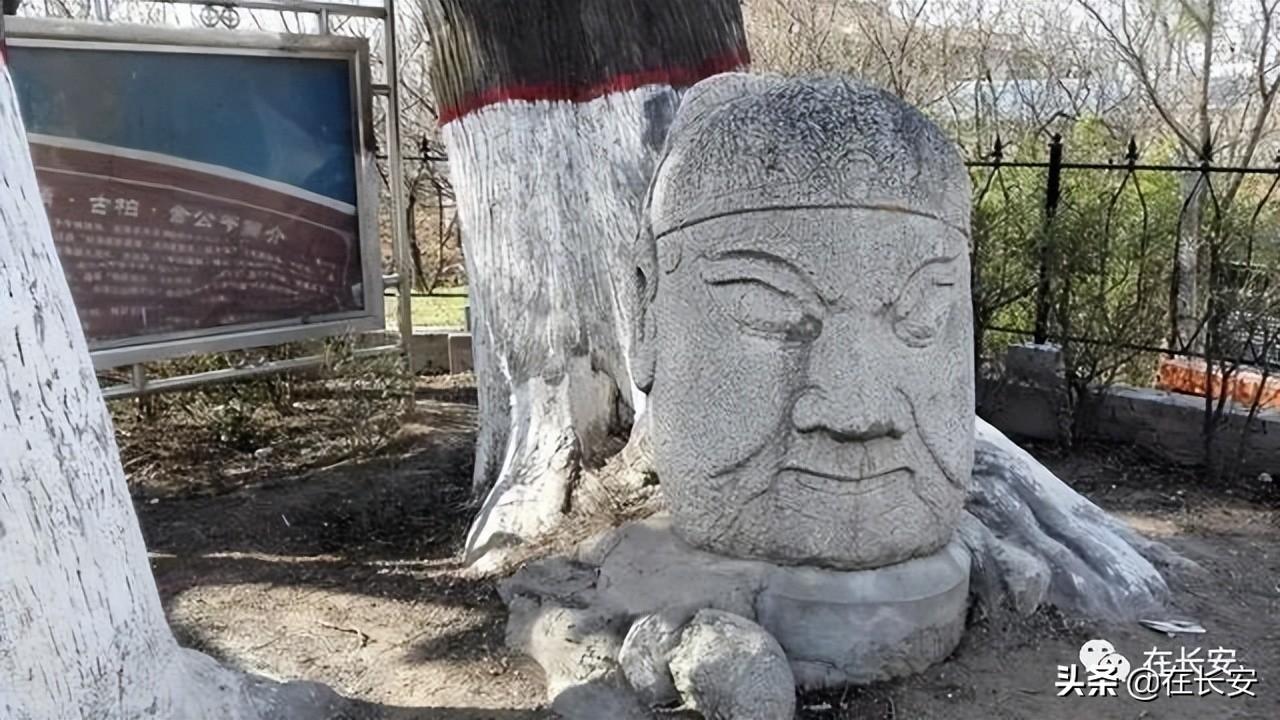 子午冲婚姻有哪些影响-属鸡和属兔匹配吗