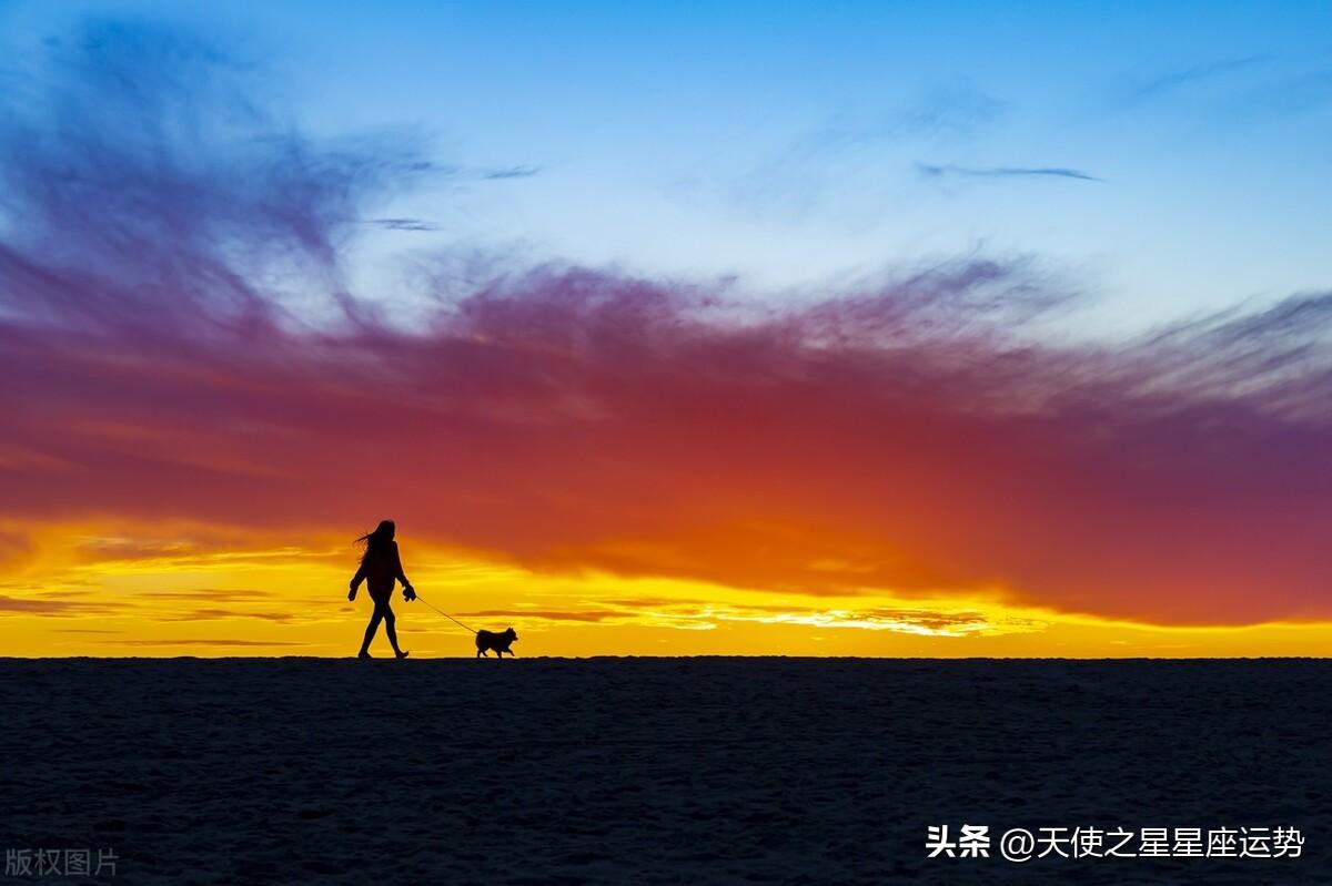 假期后十二星座运势最新-处女座2022年最终感情走向
