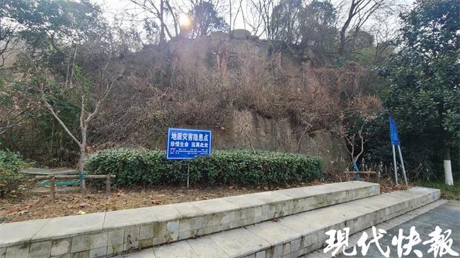 2022年姓徐的虎年男孩怎样取名字 科学起名-十二生肖各自的守护神是什么