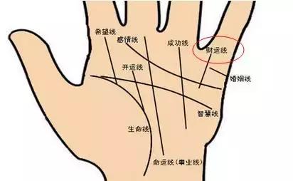 如何看掌纹线算命图解-周易怎么学习