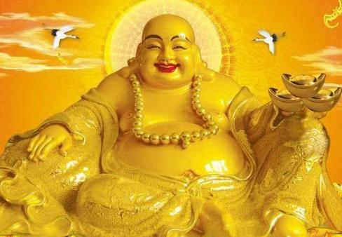 开门见什么最有财运-进门玄关上放什么植物好看
