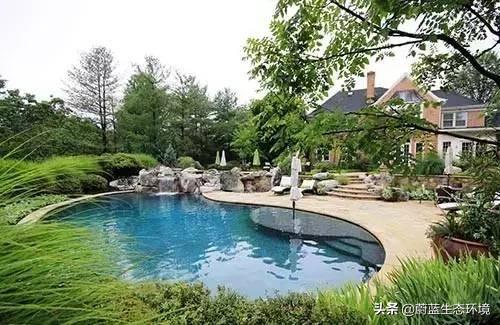 农村院子风水怎样聚财 院子风水-摇钱树在家中的正确摆放位置