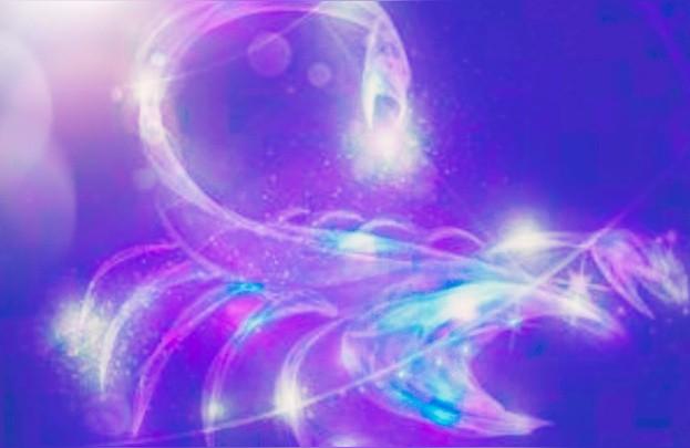 星座运势姻缘查询表-你认为哪些星座的婚姻状况会比较好
