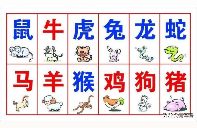 夫妻两人婚姻宫相害半世姻缘半世愁是什么意思