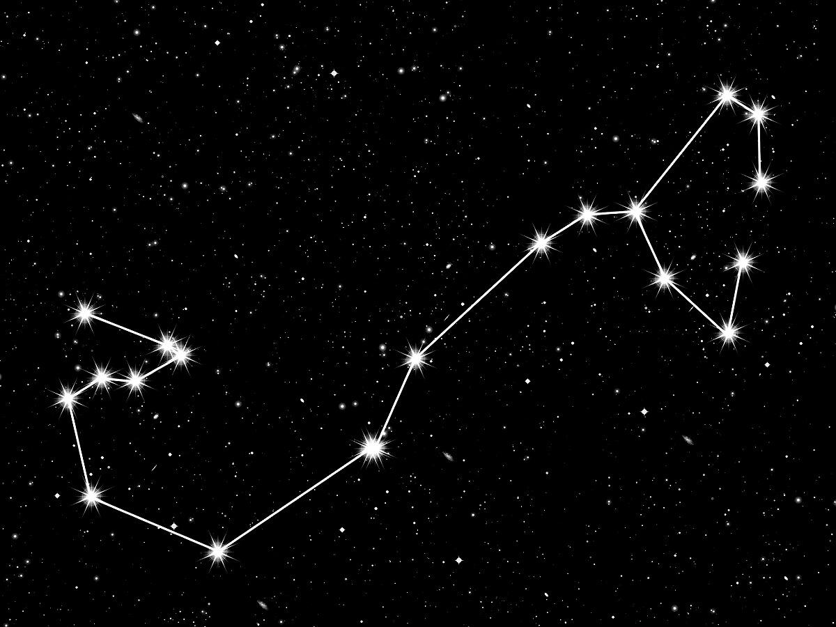 天秤女十二星座运势-2021年12星座运势完整版
