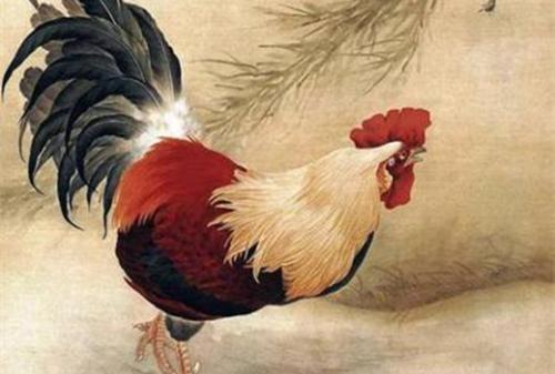算命说很顺-为什么很多父母或老一辈喜欢算命