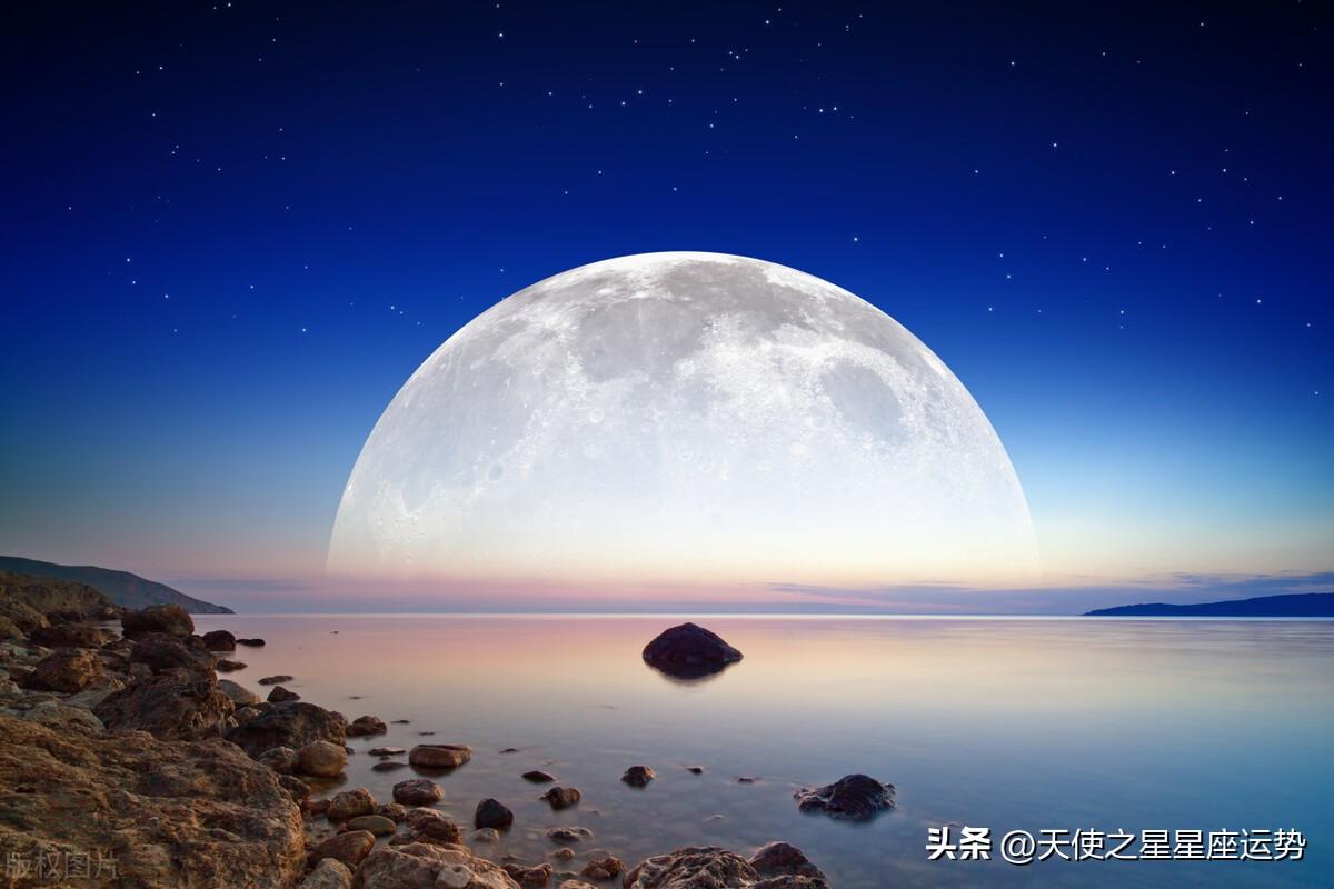 明天的十二星座的运势-日月升都在水象星座
