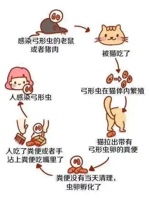 起名大全：姓弓的男孩名字-你喜欢的游戏有什么推荐