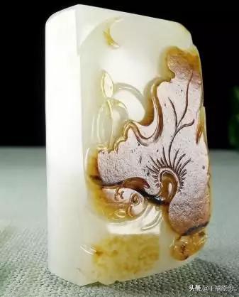 今年总破财怎么办 怎么招财-家里摆哪些植物可以生财