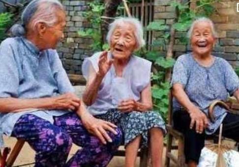 属鸡人算命-金鸡不到马群跑是什么意思