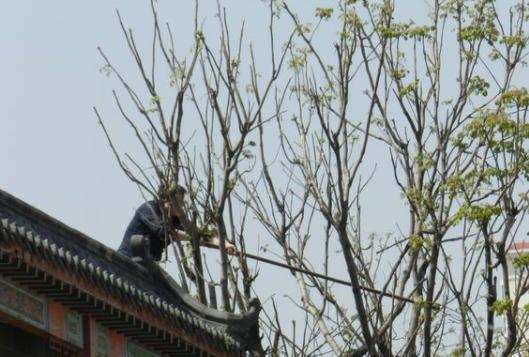 家里财运不好怎么化解 有什么办法-和一个人在一起的时候运气不好怎么办