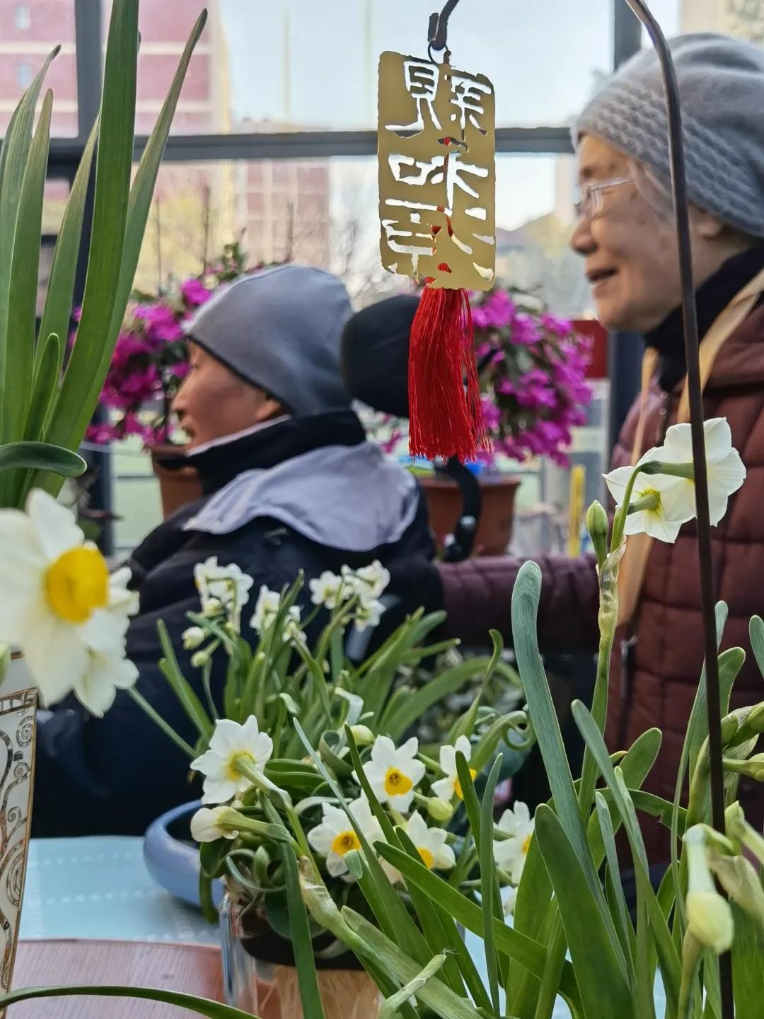 家里适合养什么植物 水仙常开财运常来-中国的十大名花分别是什么花
