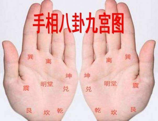 看男人的手相算命图解-感情线怎么看男士