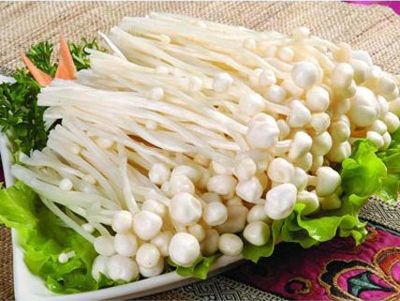 免费骨重算命-伤残鉴定在线咨询免费