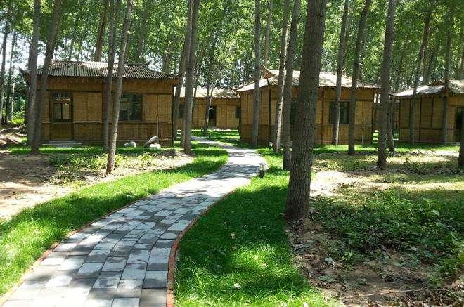 房前屋后种树的禁忌和讲究-邻居家屋后栽树该怎么处理