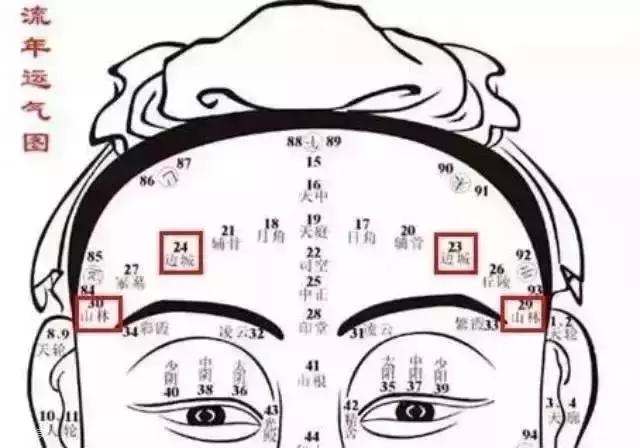 看面相算命运-精读一本什么书可以改变命运呢