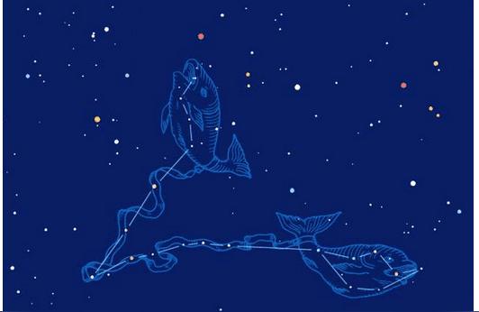 2017星座运势双鱼双鱼座的特征和含义