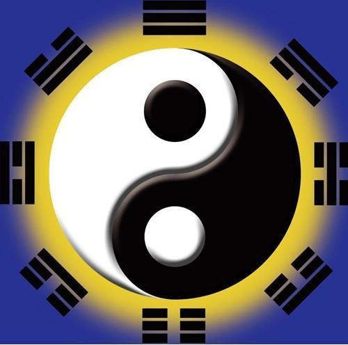 子午谁冲谁正冲冲龙是什么意思