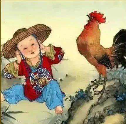 玉露对属鸡人的好处，旺财又聚财-玉露哪个品种最旺财